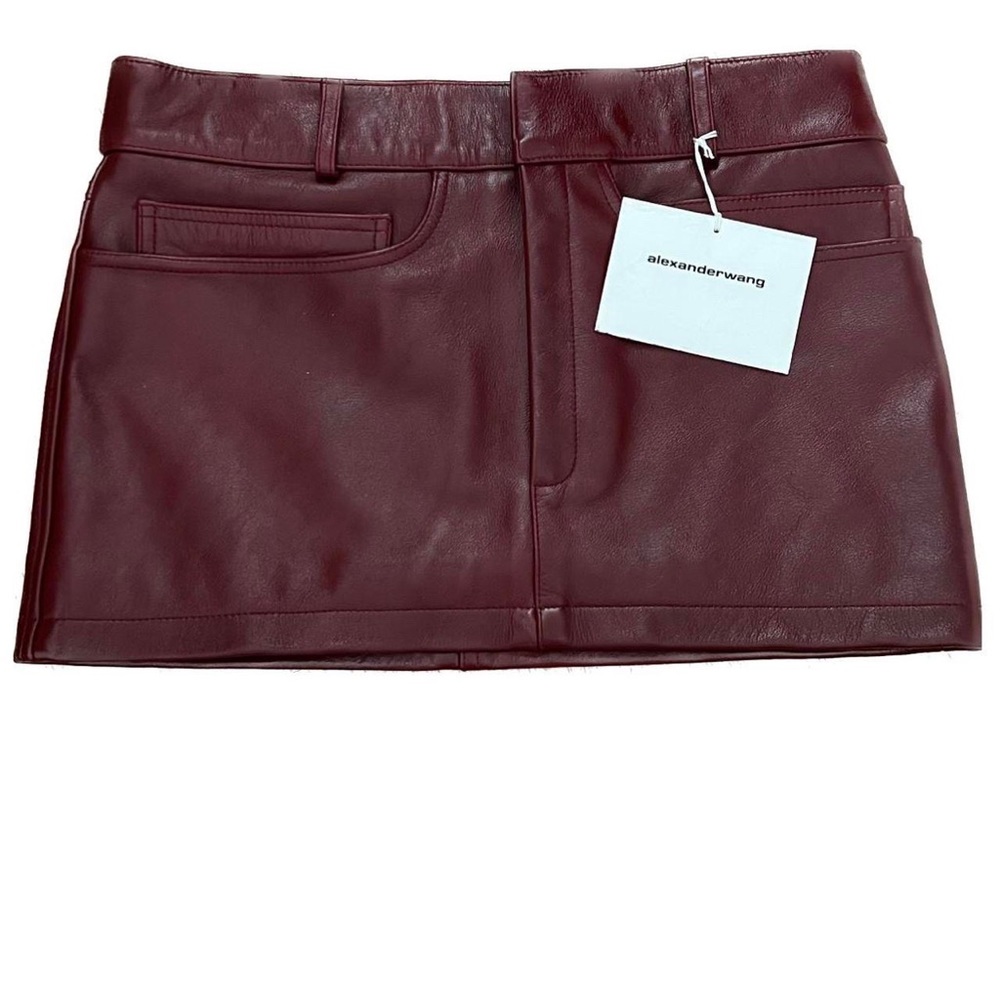 alexander wang leather moto mini skirt